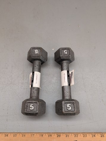 Image for DUMBBELLS