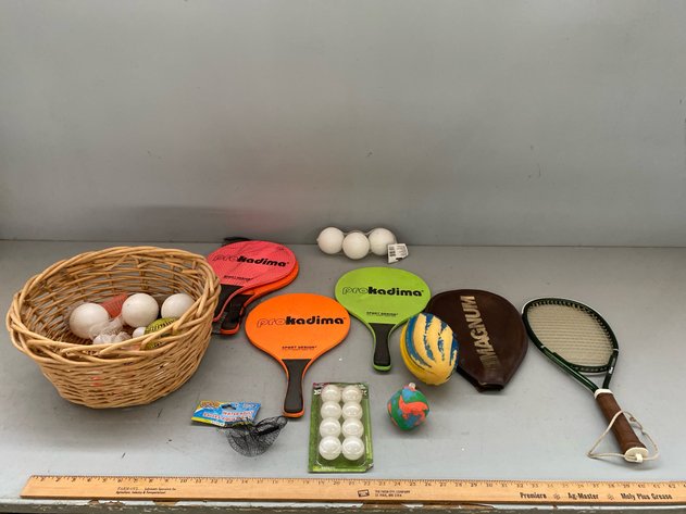 Image for BALLS/SPORTS ITEMS
