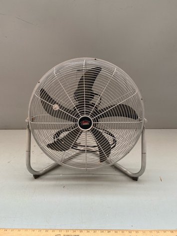 Image for FAN