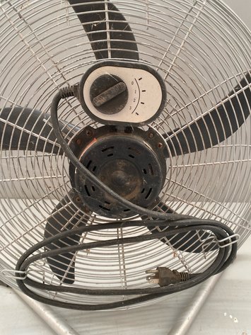 Image for FAN
