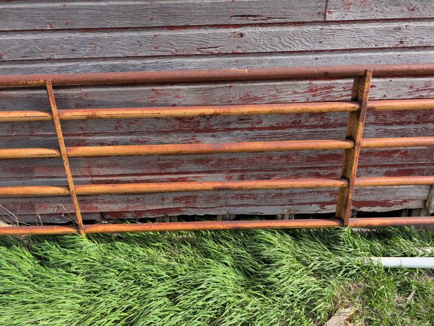 Image for LIVESTOCK GATE