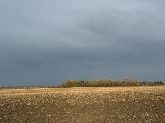 Image for Parcel #1 69.85 Surveyed Acres Lac Qui Parle Township Section 16, 68.36 +/- Tillable Acres Township 118, Range 42 PID #22-0051-000 CPI 89.8