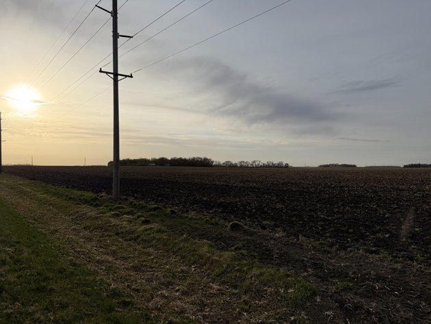 Image for Parcel #1 69.85 Surveyed Acres Lac Qui Parle Township Section 16, 68.36 +/- Tillable Acres Township 118, Range 42 PID #22-0051-000 CPI 89.8