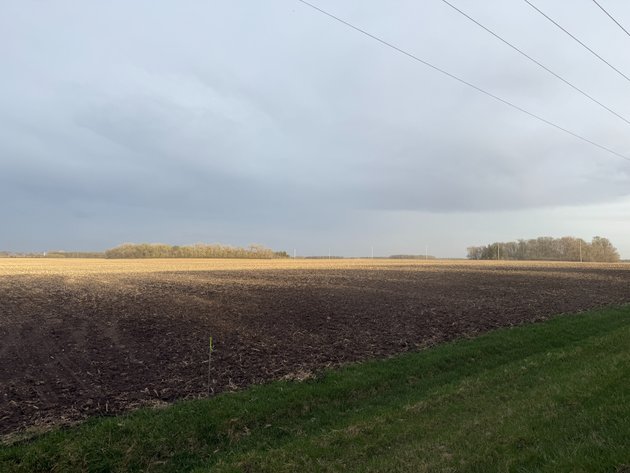 Image for Parcel #1 69.85 Surveyed Acres Lac Qui Parle Township Section 16, 68.36 +/- Tillable Acres Township 118, Range 42 PID #22-0051-000 CPI 89.8