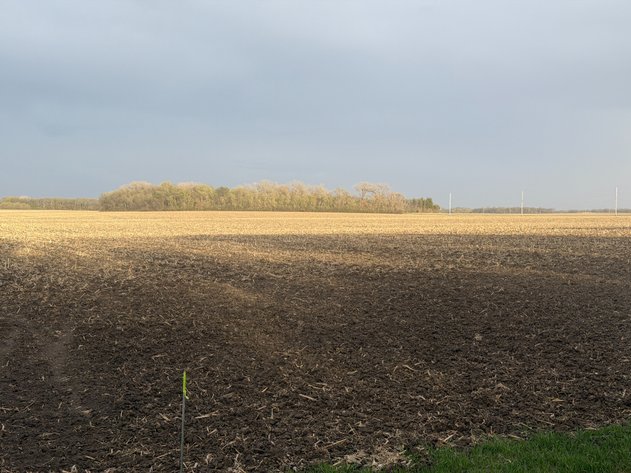 Image for Parcel #1 69.85 Surveyed Acres Lac Qui Parle Township Section 16, 68.36 +/- Tillable Acres Township 118, Range 42 PID #22-0051-000 CPI 89.8