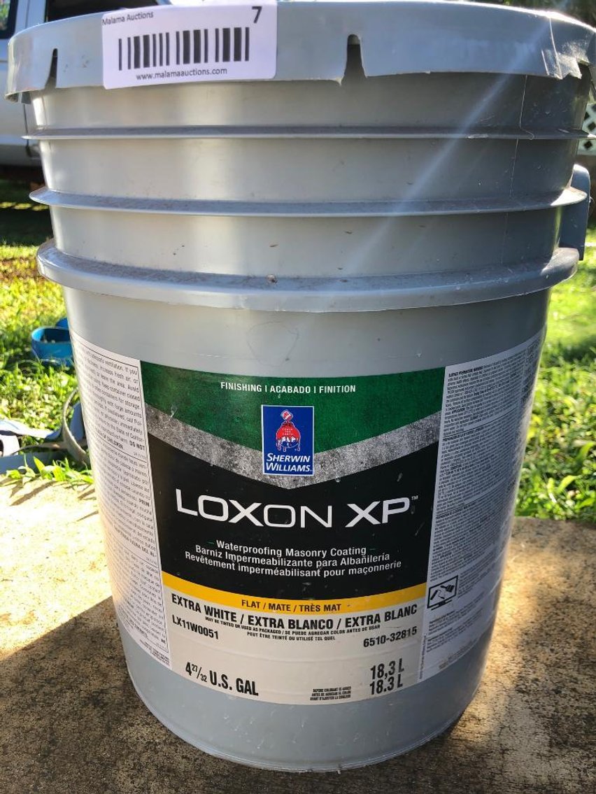 paint loxon xp price