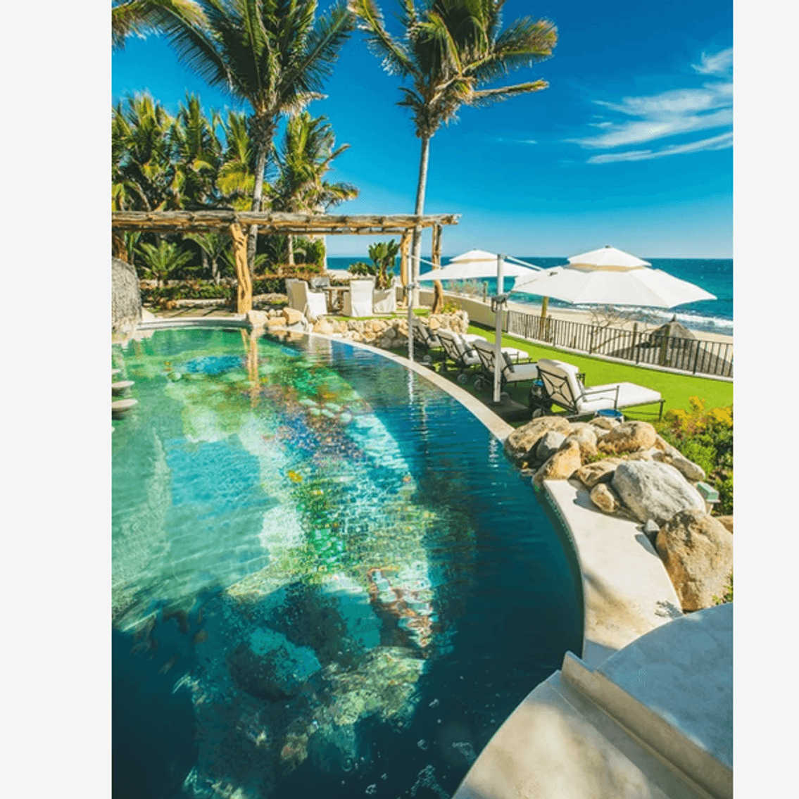 Image for Kauai Humane Society Fundraising Auction 09/20