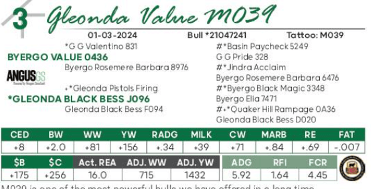 Image for Gleonda Angus Farms 65th Anniversary Sale