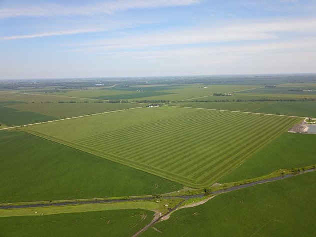 Image for TOP PRODUCING SOUTHEASTERN DODGE CO NON-IRRIGATED NO RESERVE FARMLAND AUCTION