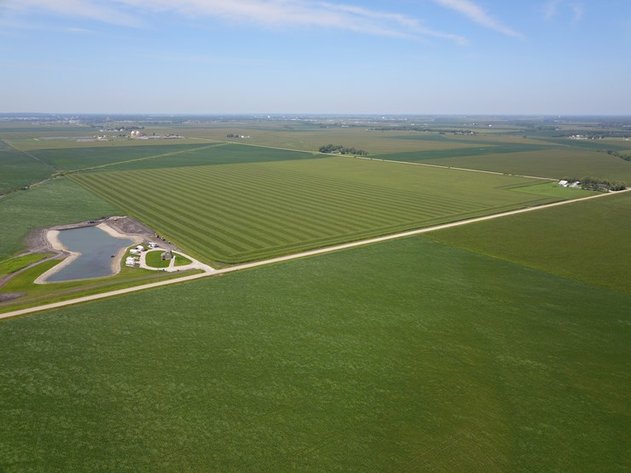 Image for TOP PRODUCING SOUTHEASTERN DODGE CO NON-IRRIGATED NO RESERVE FARMLAND AUCTION