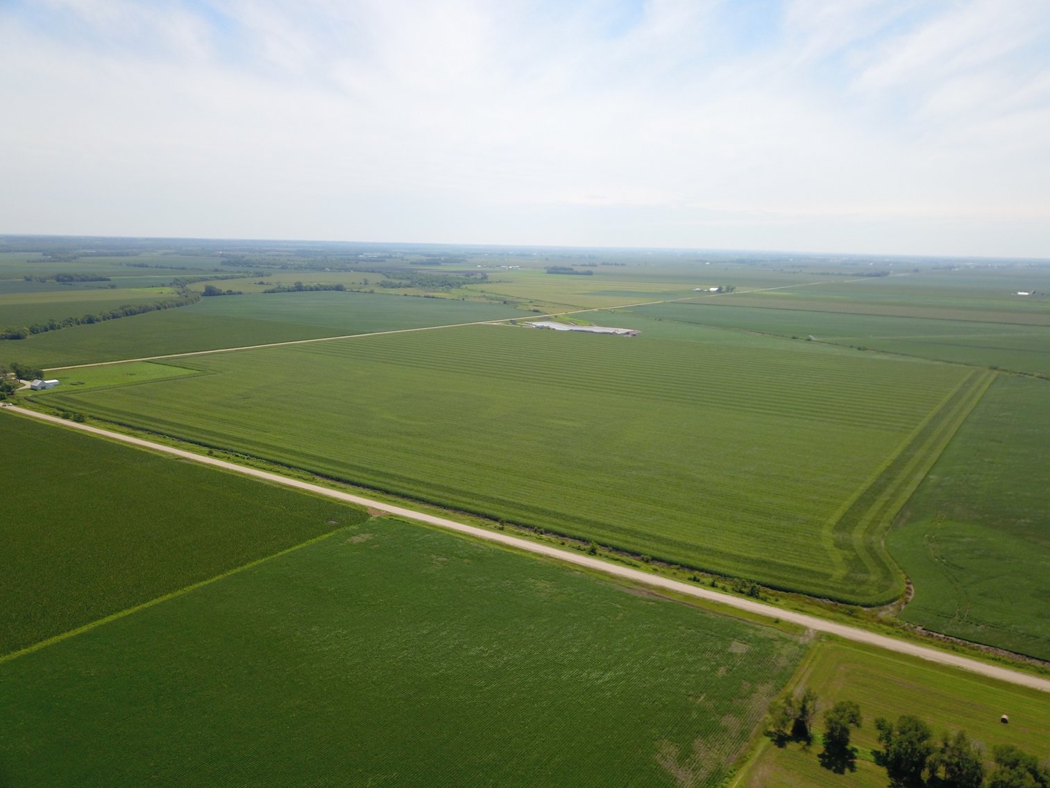 Image for TOP PRODUCING SOUTHEASTERN DODGE CO NON-IRRIGATED NO RESERVE FARMLAND AUCTION