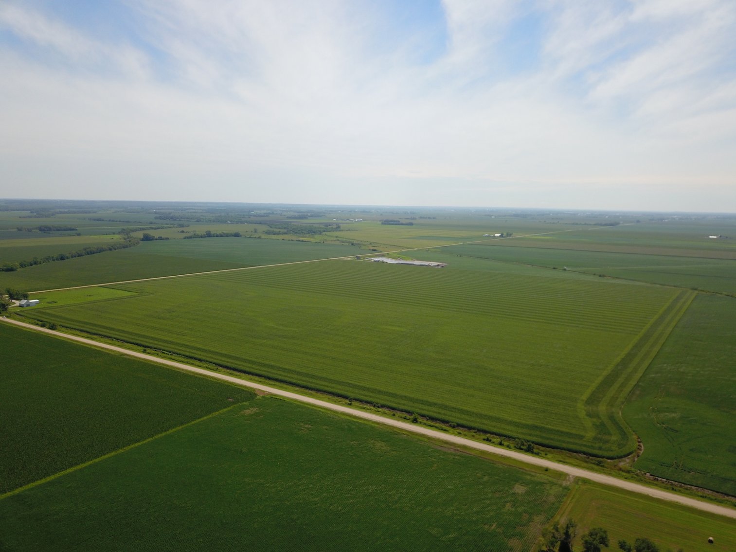 Image for TOP PRODUCING SOUTHEASTERN DODGE CO NON-IRRIGATED NO RESERVE FARMLAND AUCTION