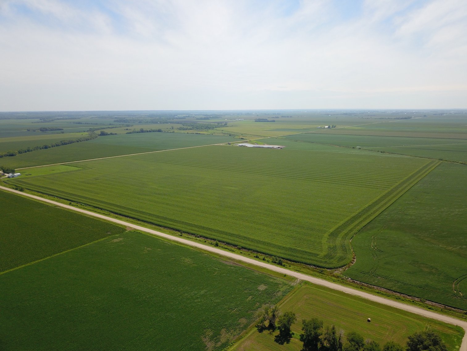 Image for TOP PRODUCING SOUTHEASTERN DODGE CO NON-IRRIGATED NO RESERVE FARMLAND AUCTION