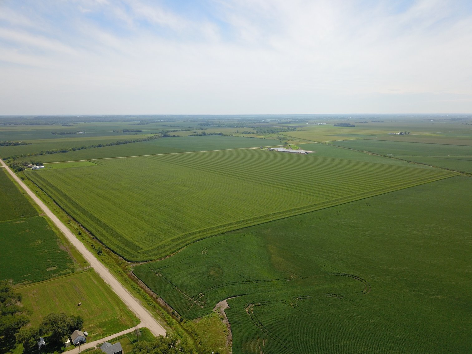 Image for TOP PRODUCING SOUTHEASTERN DODGE CO NON-IRRIGATED NO RESERVE FARMLAND AUCTION
