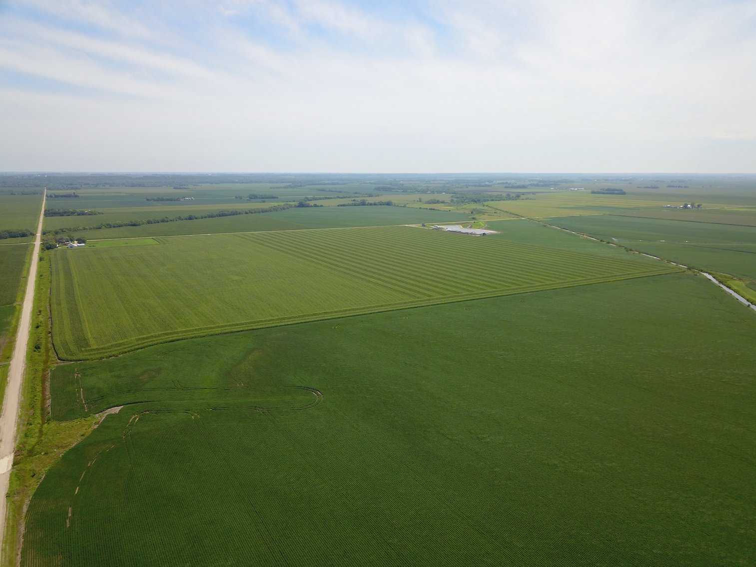 Image for TOP PRODUCING SOUTHEASTERN DODGE CO NON-IRRIGATED NO RESERVE FARMLAND AUCTION