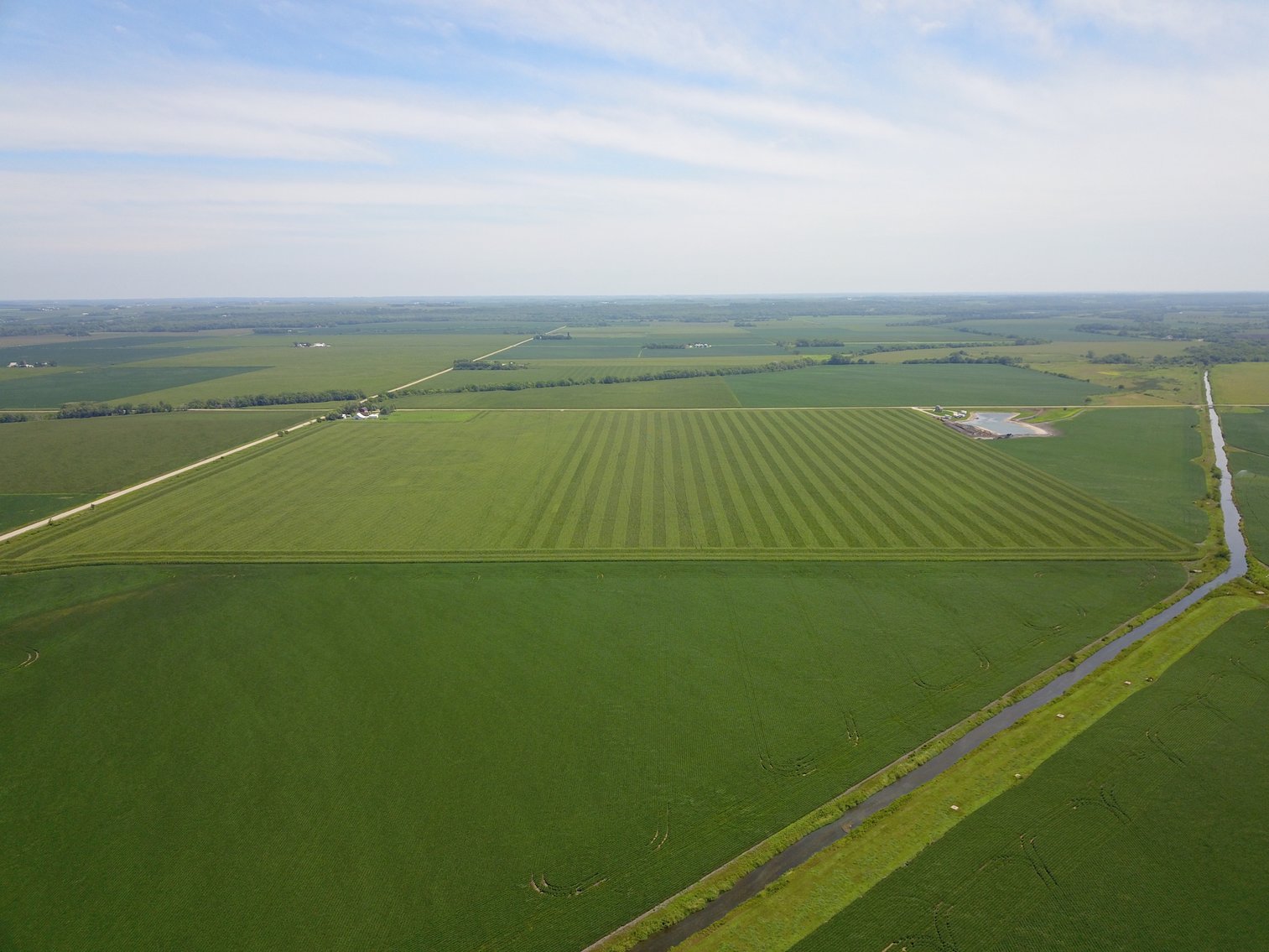 Image for TOP PRODUCING SOUTHEASTERN DODGE CO NON-IRRIGATED NO RESERVE FARMLAND AUCTION