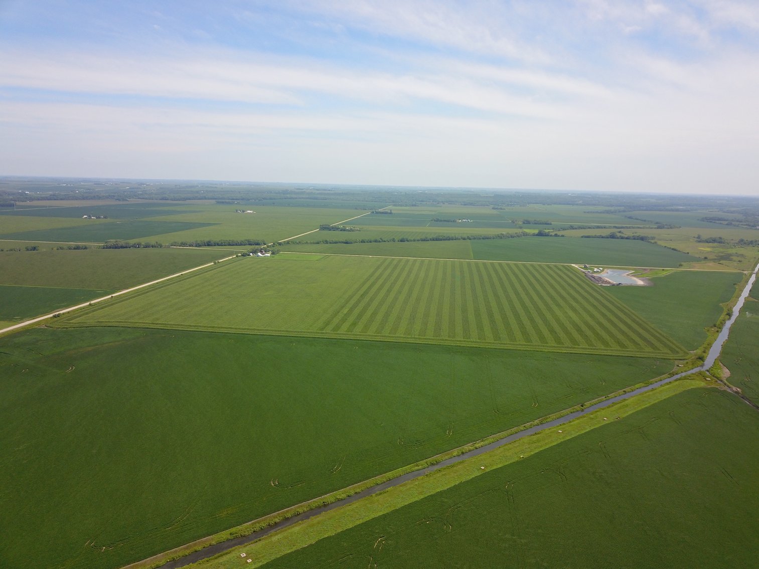Image for TOP PRODUCING SOUTHEASTERN DODGE CO NON-IRRIGATED NO RESERVE FARMLAND AUCTION