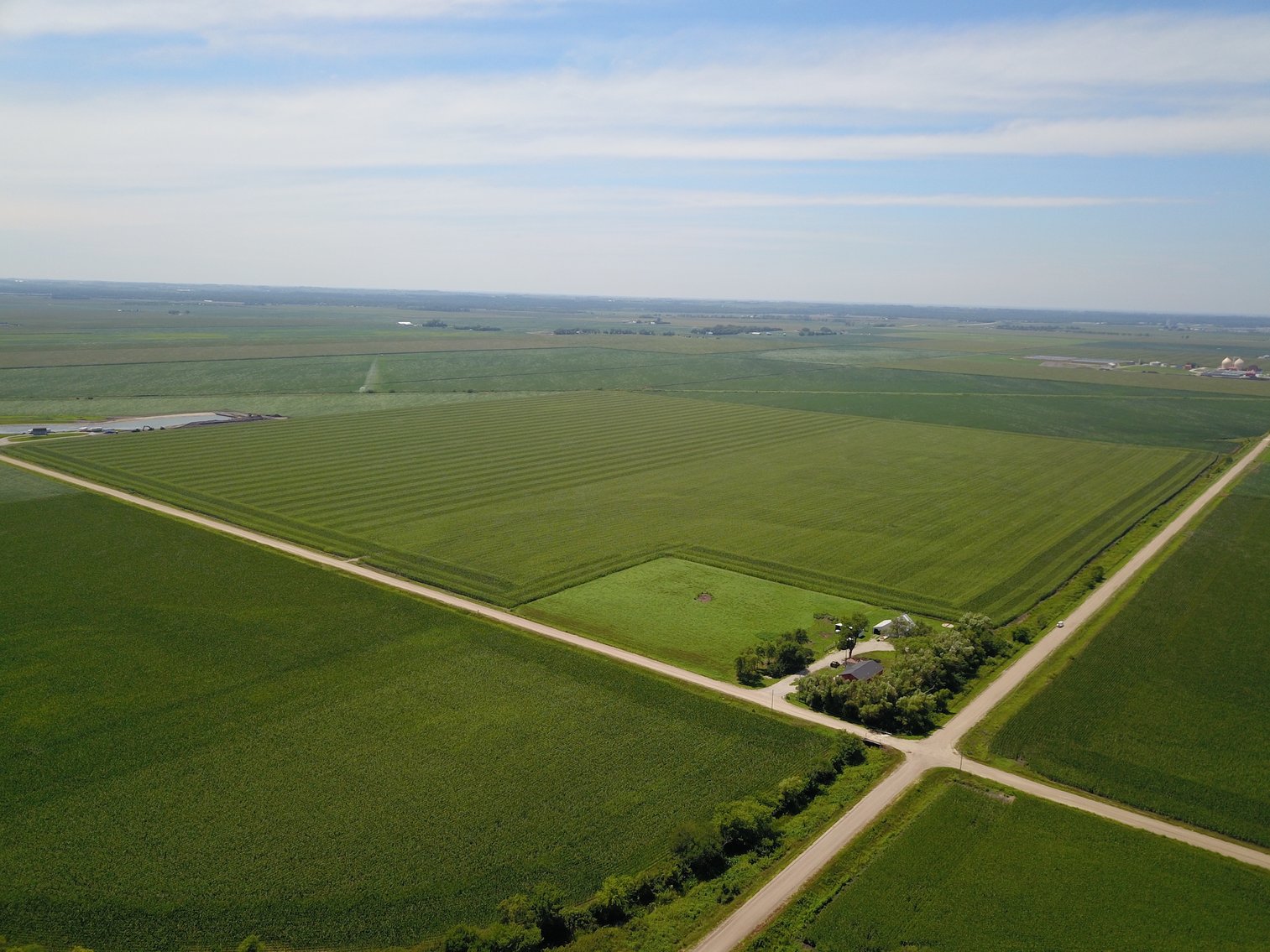 Image for TOP PRODUCING SOUTHEASTERN DODGE CO NON-IRRIGATED NO RESERVE FARMLAND AUCTION