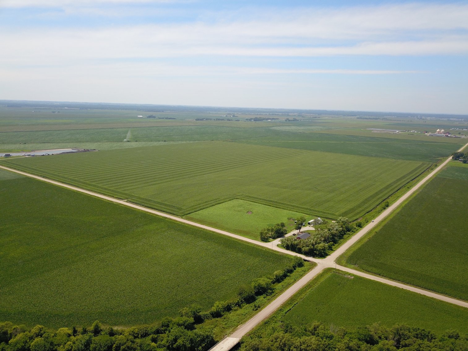 Image for TOP PRODUCING SOUTHEASTERN DODGE CO NON-IRRIGATED NO RESERVE FARMLAND AUCTION