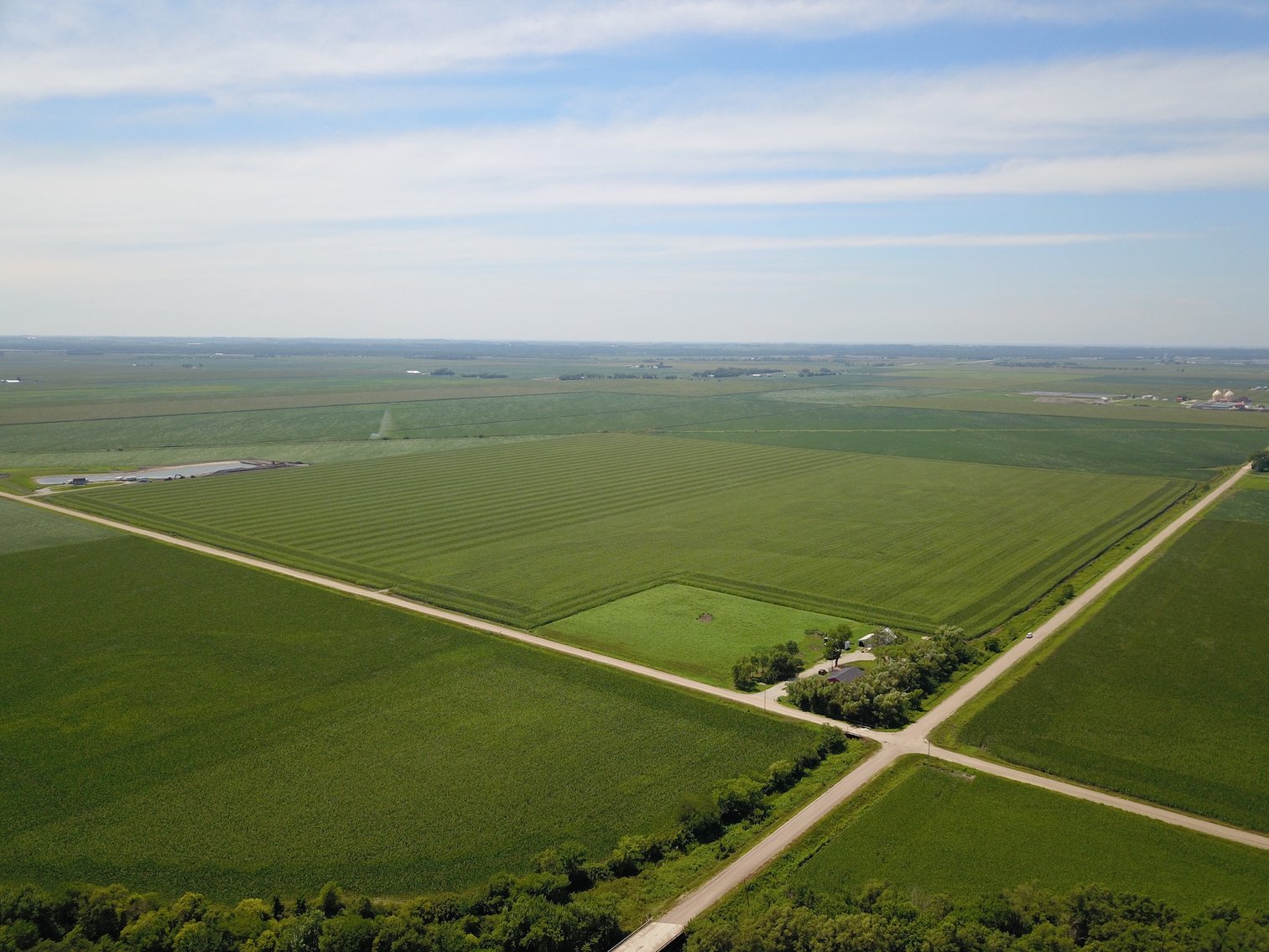 Image for TOP PRODUCING SOUTHEASTERN DODGE CO NON-IRRIGATED NO RESERVE FARMLAND AUCTION