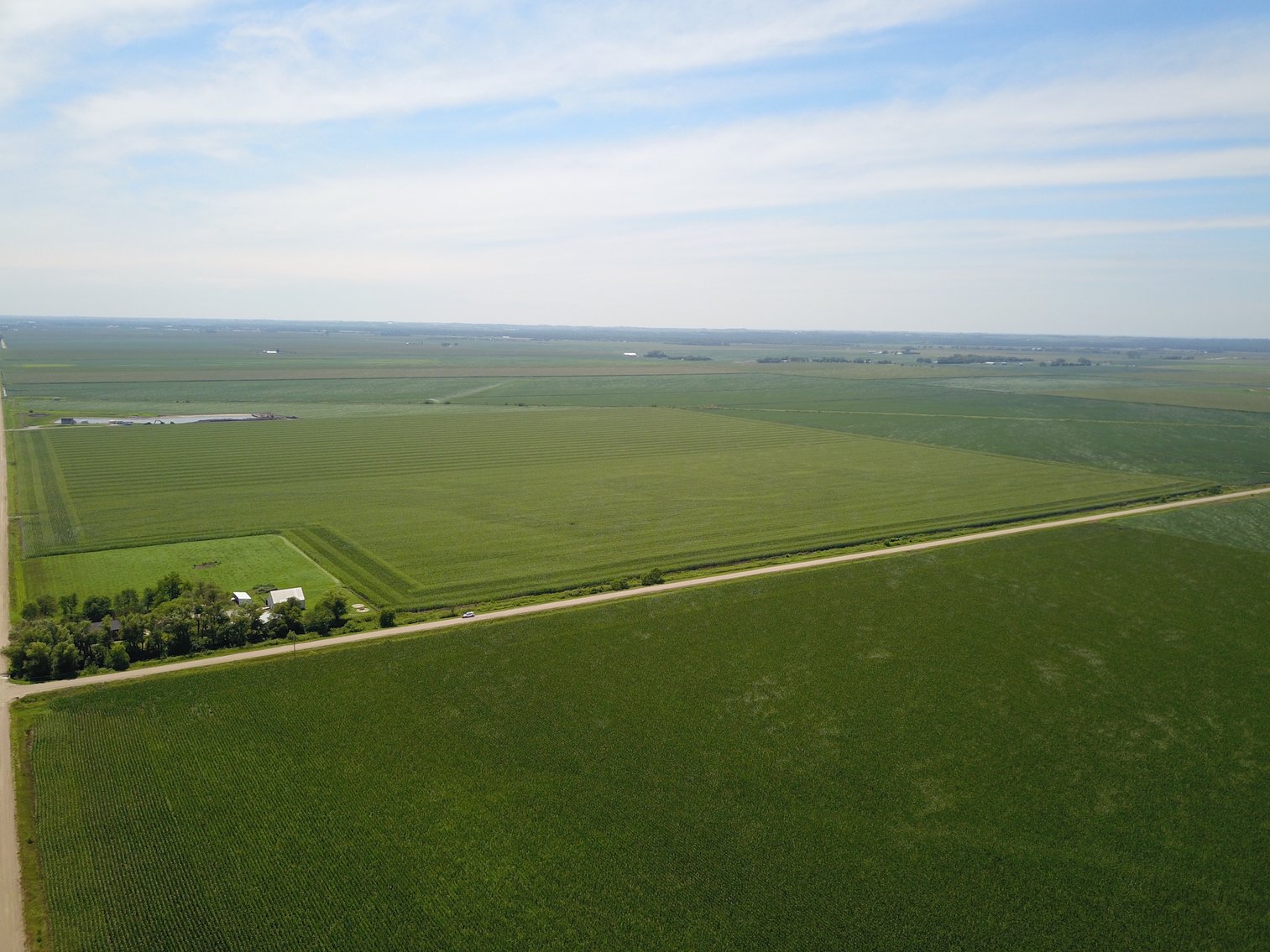 Image for TOP PRODUCING SOUTHEASTERN DODGE CO NON-IRRIGATED NO RESERVE FARMLAND AUCTION