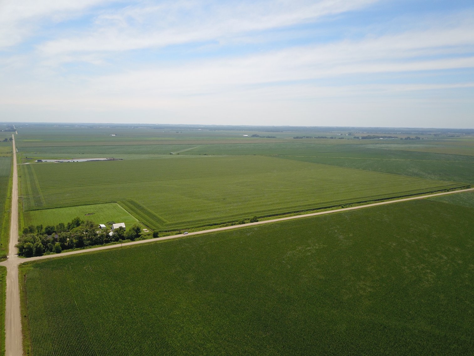 Image for TOP PRODUCING SOUTHEASTERN DODGE CO NON-IRRIGATED NO RESERVE FARMLAND AUCTION