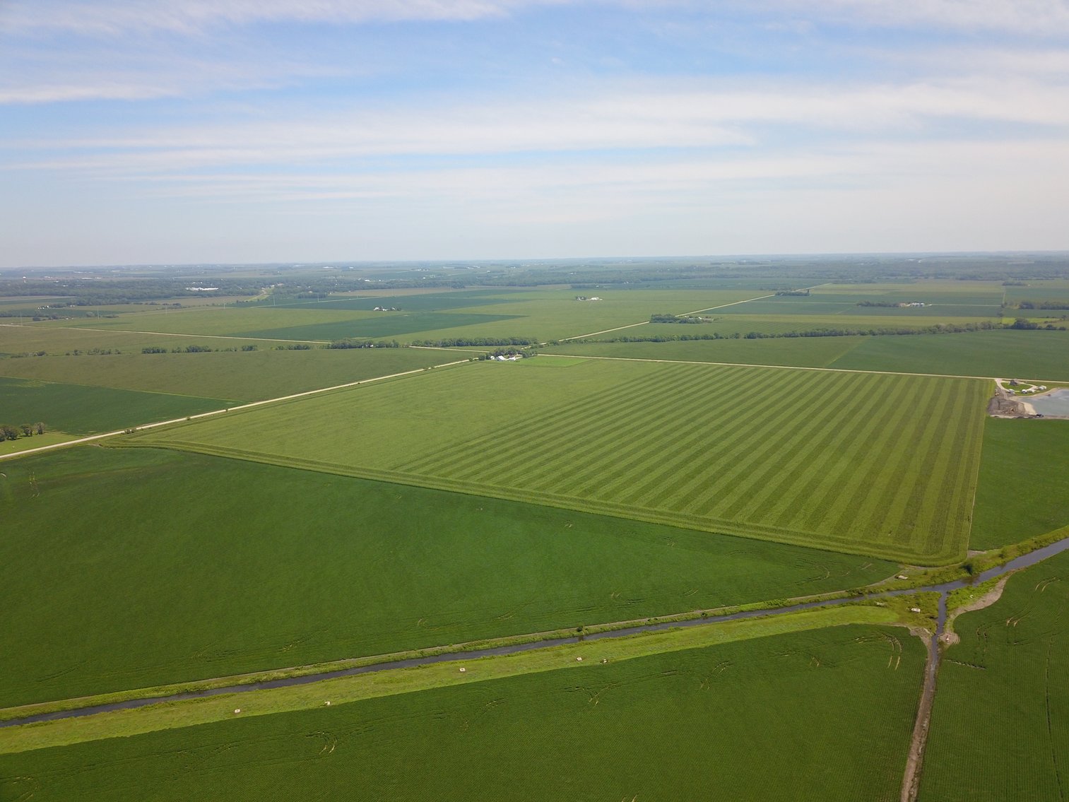 Image for TOP PRODUCING SOUTHEASTERN DODGE CO NON-IRRIGATED NO RESERVE FARMLAND AUCTION