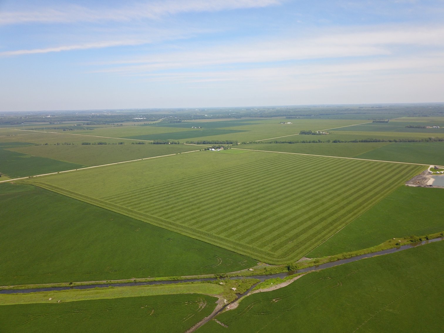 Image for TOP PRODUCING SOUTHEASTERN DODGE CO NON-IRRIGATED NO RESERVE FARMLAND AUCTION