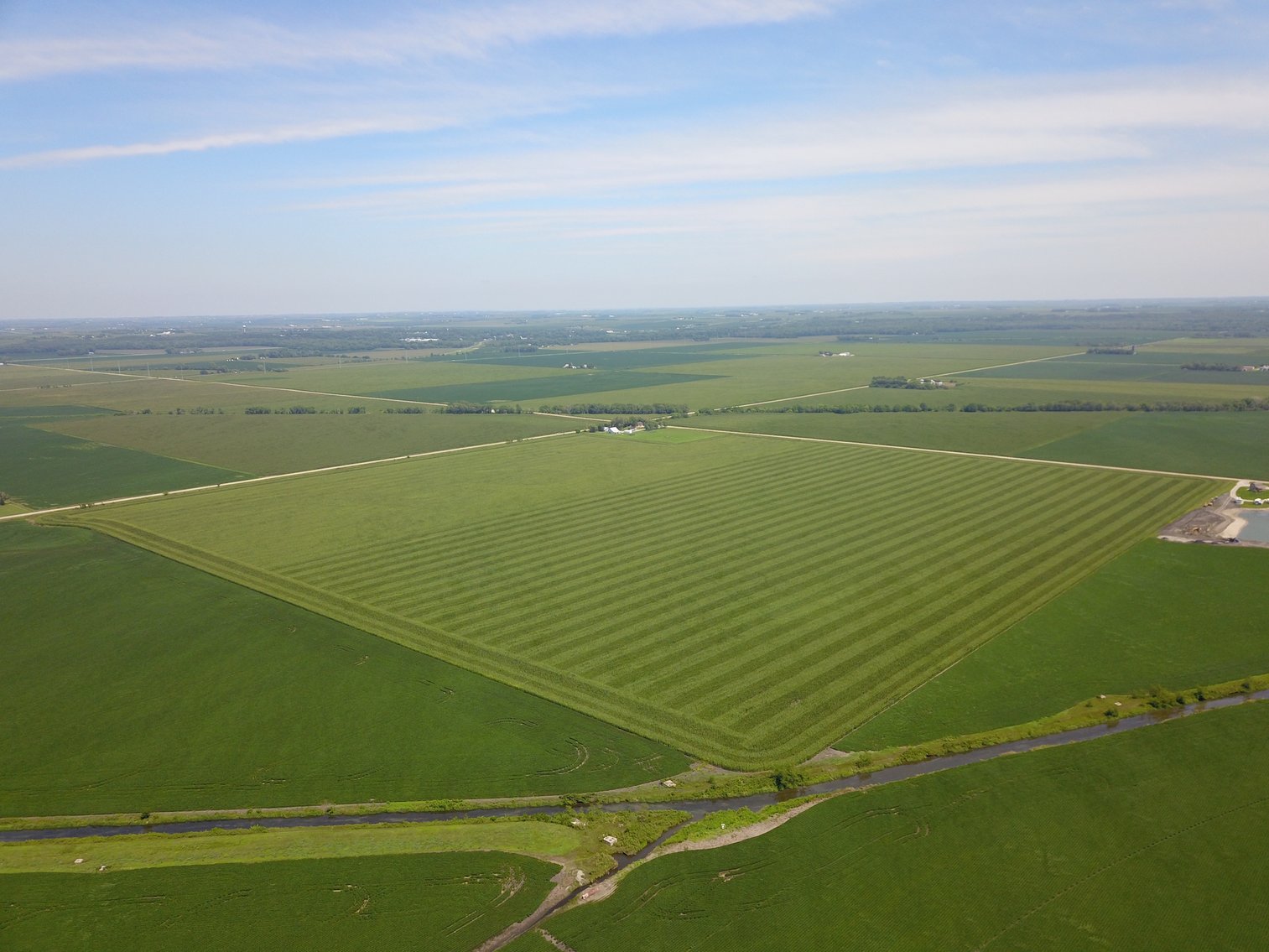 Image for TOP PRODUCING SOUTHEASTERN DODGE CO NON-IRRIGATED NO RESERVE FARMLAND AUCTION