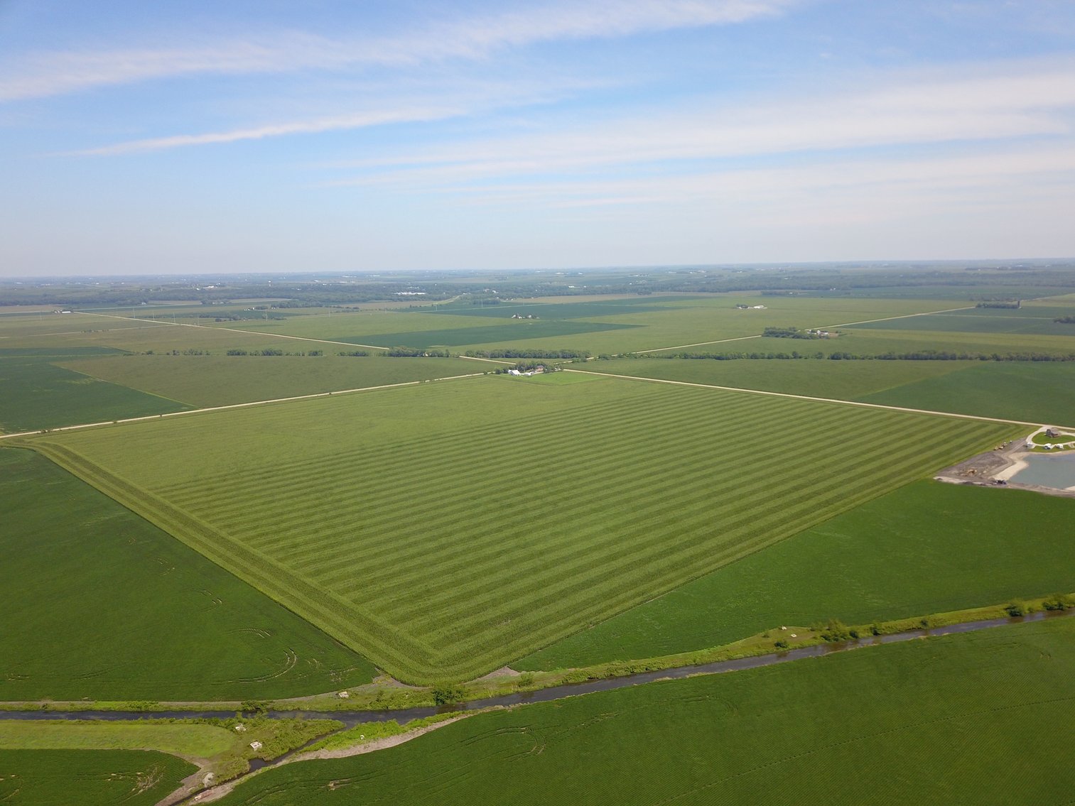 Image for TOP PRODUCING SOUTHEASTERN DODGE CO NON-IRRIGATED NO RESERVE FARMLAND AUCTION