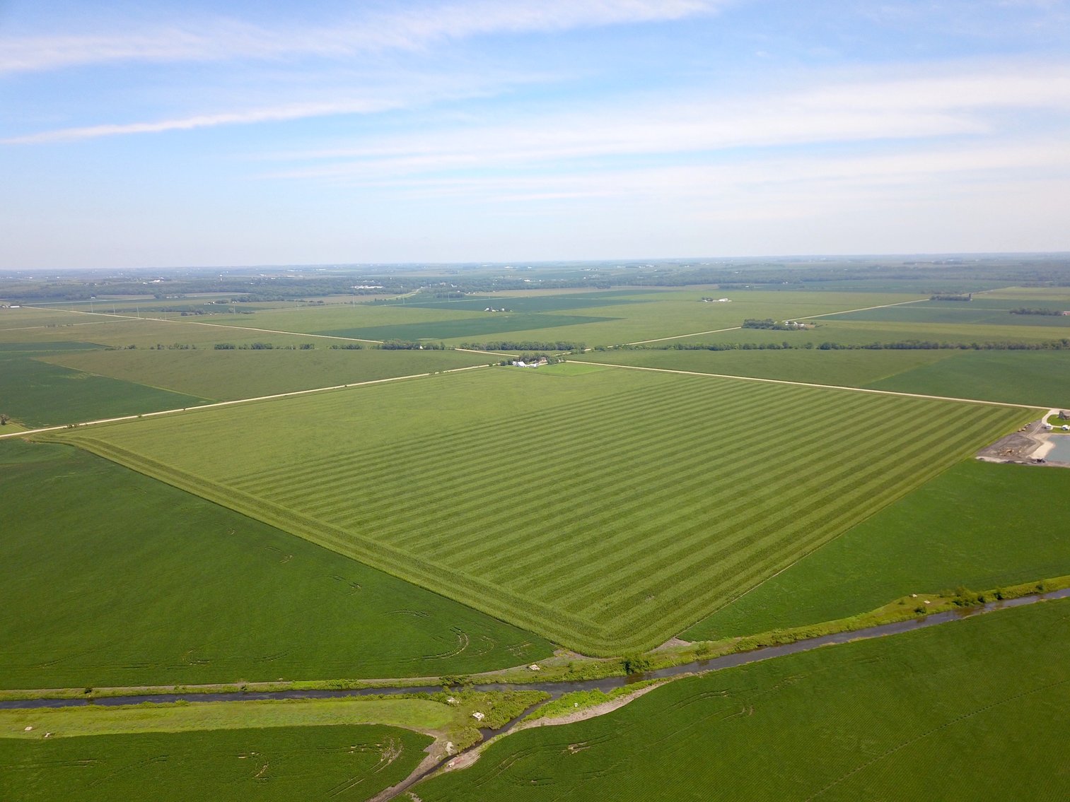Image for TOP PRODUCING SOUTHEASTERN DODGE CO NON-IRRIGATED NO RESERVE FARMLAND AUCTION