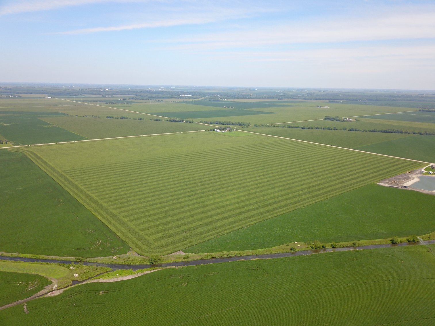 Image for TOP PRODUCING SOUTHEASTERN DODGE CO NON-IRRIGATED NO RESERVE FARMLAND AUCTION