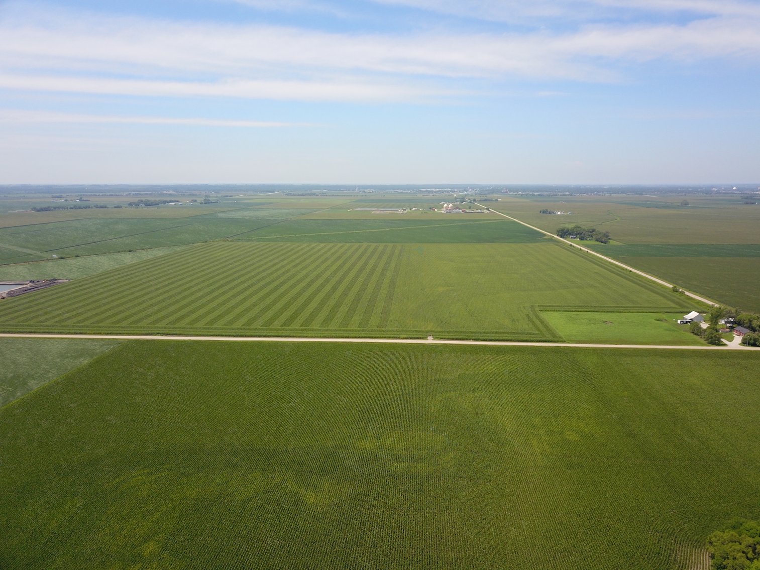 Image for TOP PRODUCING SOUTHEASTERN DODGE CO NON-IRRIGATED NO RESERVE FARMLAND AUCTION