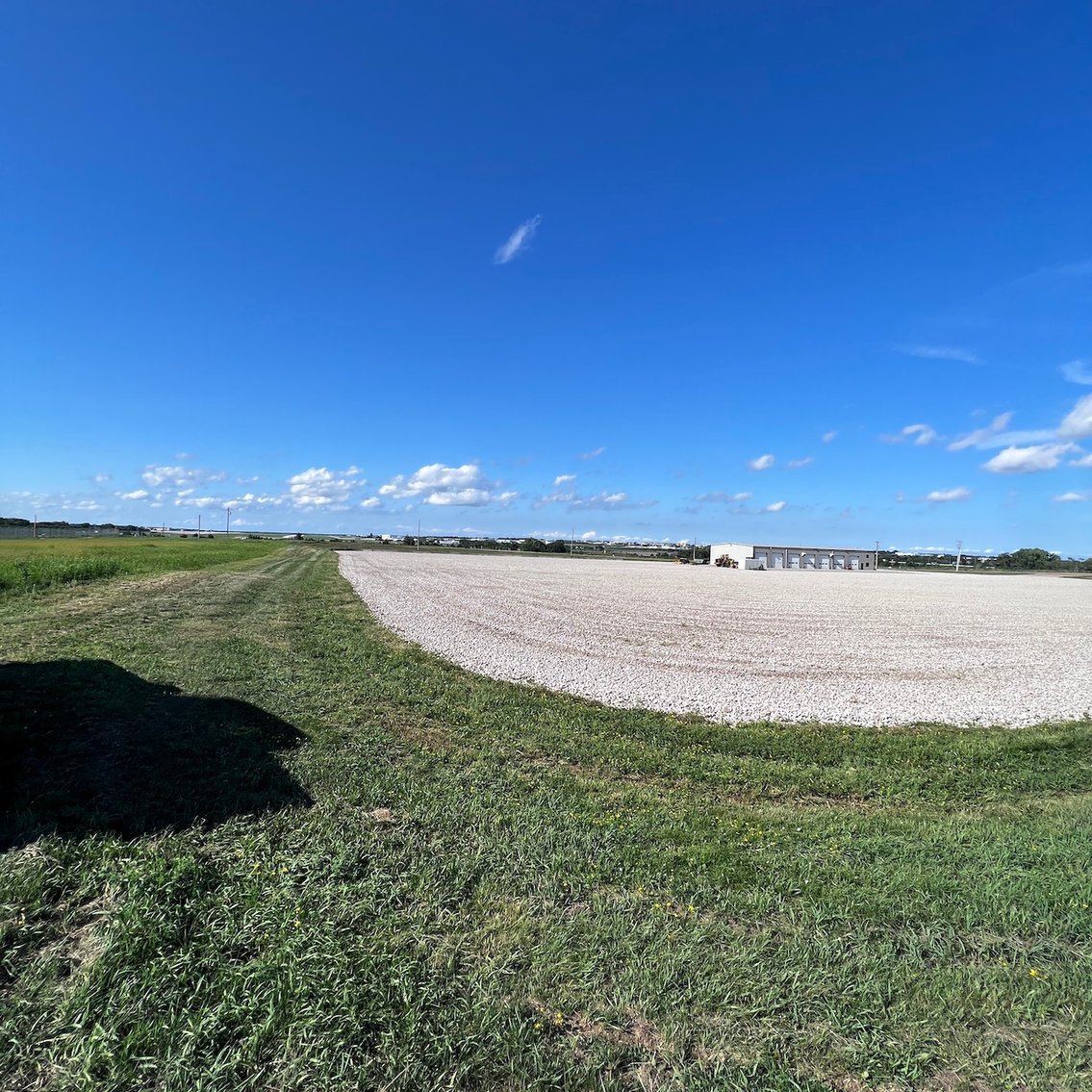 Image for TREMENDOUS HIGH VISIBILITY COMMERCIAL PROPERTY NO RESERVE LIVE AUCTION