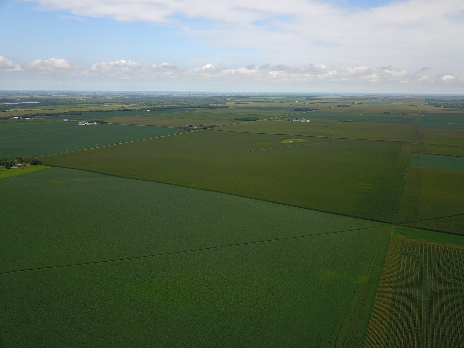 Image for IN PERSON/ONLINE N. CENTRAL SAUNDERS CO PIVOT IRRIGATED RETIREMENT FARMLAND AUCTION