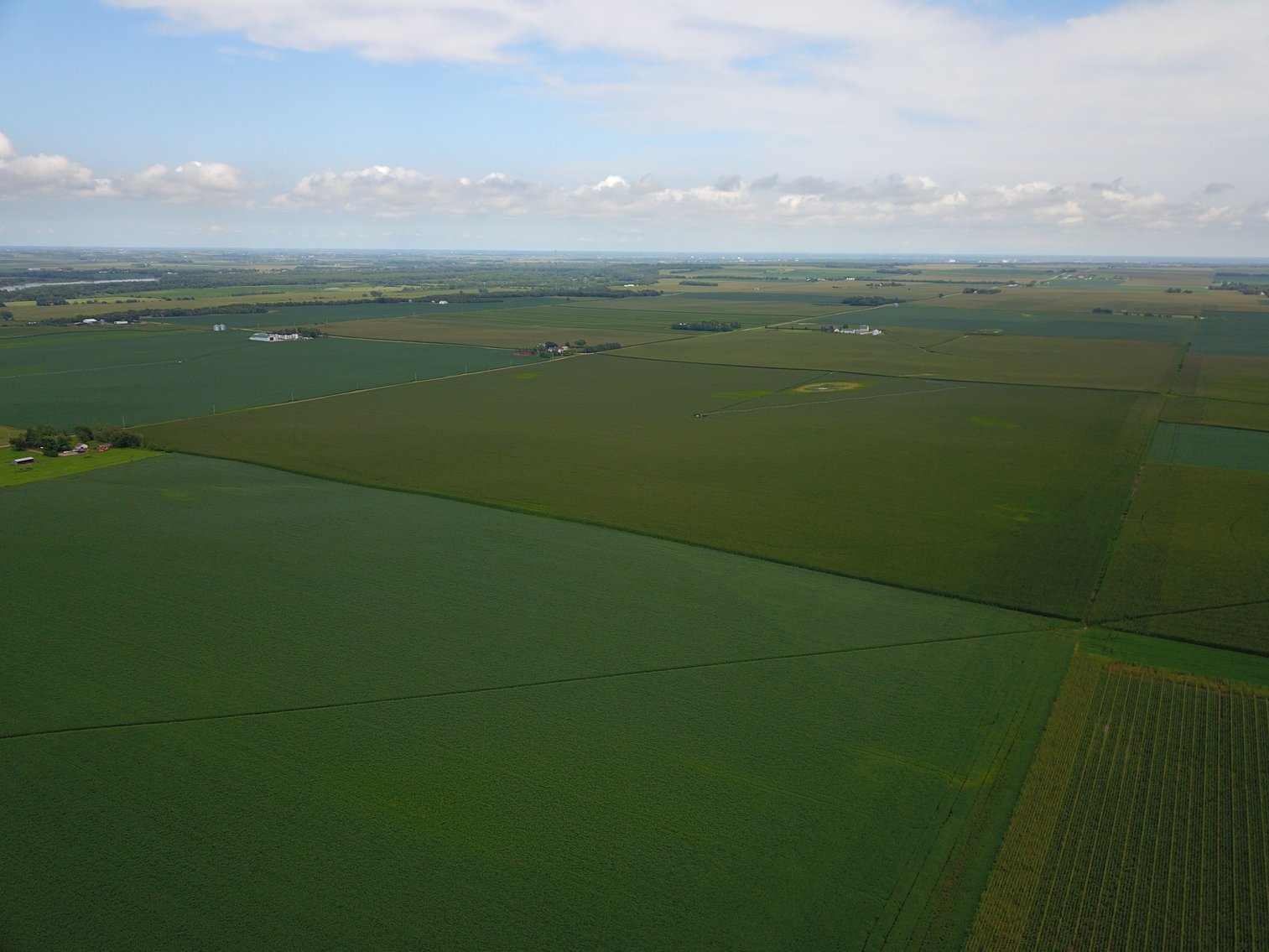 Image for IN PERSON/ONLINE N. CENTRAL SAUNDERS CO PIVOT IRRIGATED RETIREMENT FARMLAND AUCTION