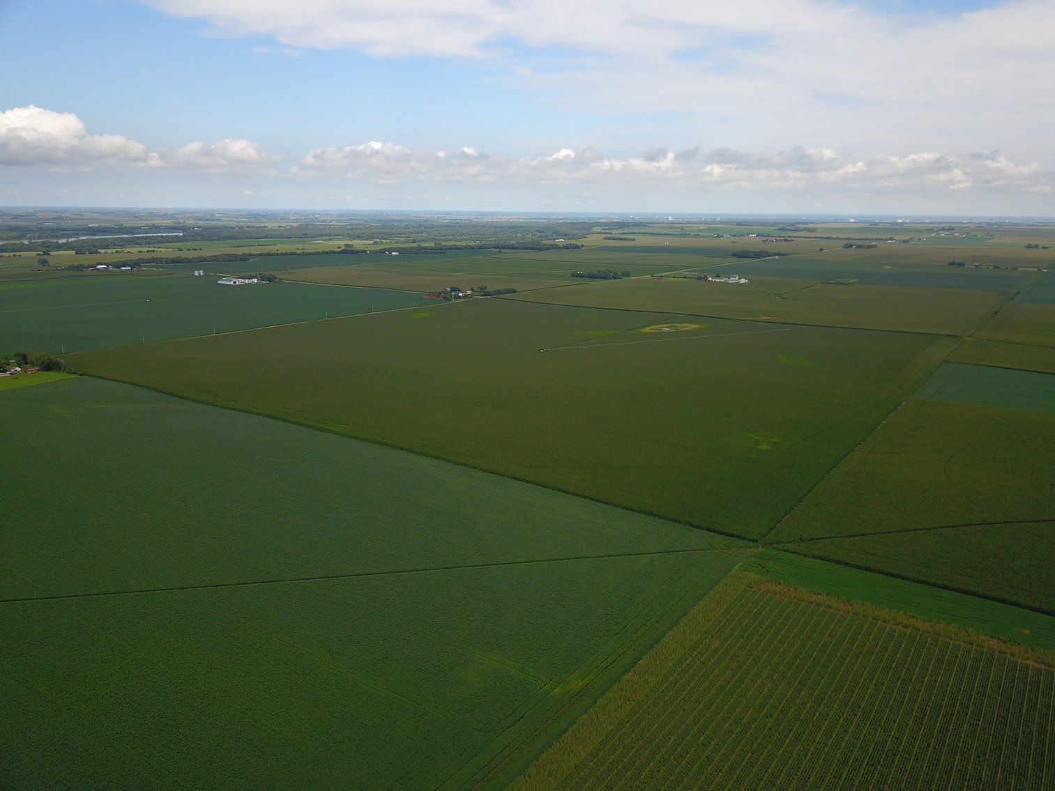 Image for IN PERSON/ONLINE N. CENTRAL SAUNDERS CO PIVOT IRRIGATED RETIREMENT FARMLAND AUCTION