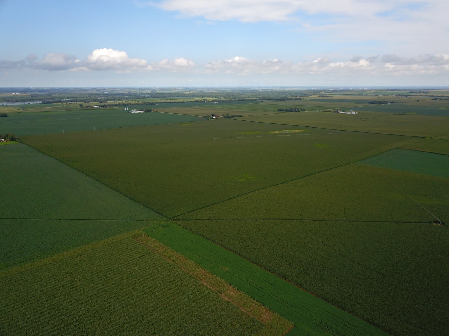 Image for IN PERSON/ONLINE N. CENTRAL SAUNDERS CO PIVOT IRRIGATED RETIREMENT FARMLAND AUCTION
