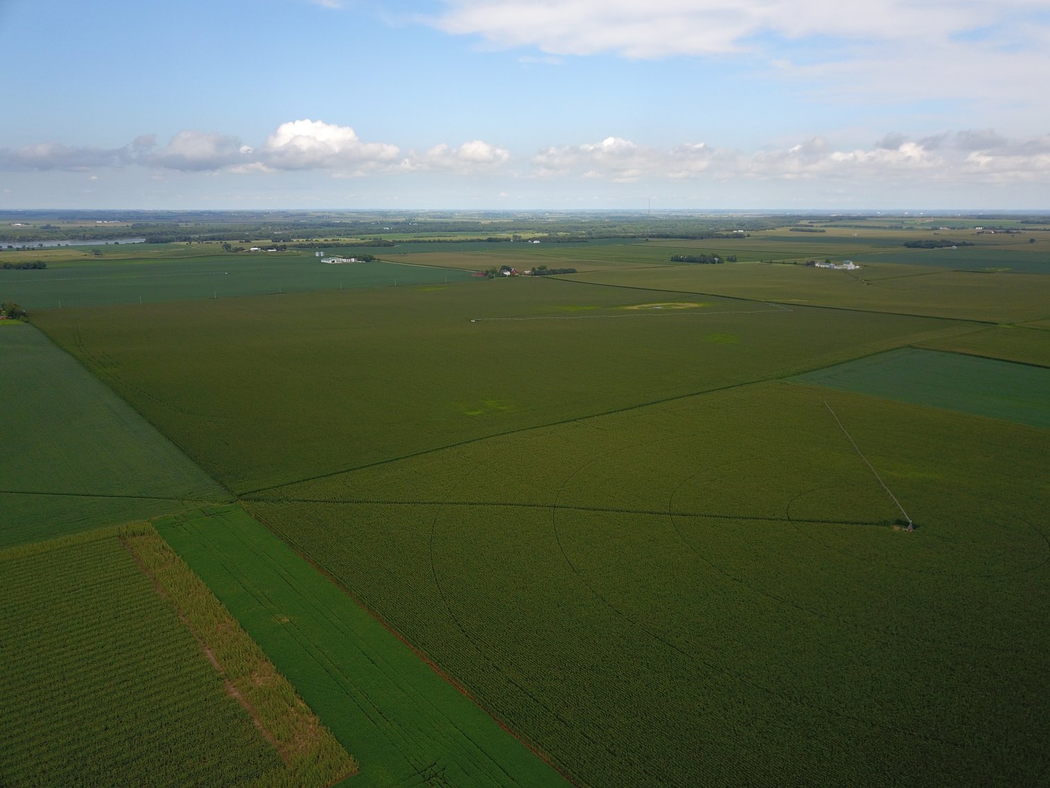 Image for IN PERSON/ONLINE N. CENTRAL SAUNDERS CO PIVOT IRRIGATED RETIREMENT FARMLAND AUCTION