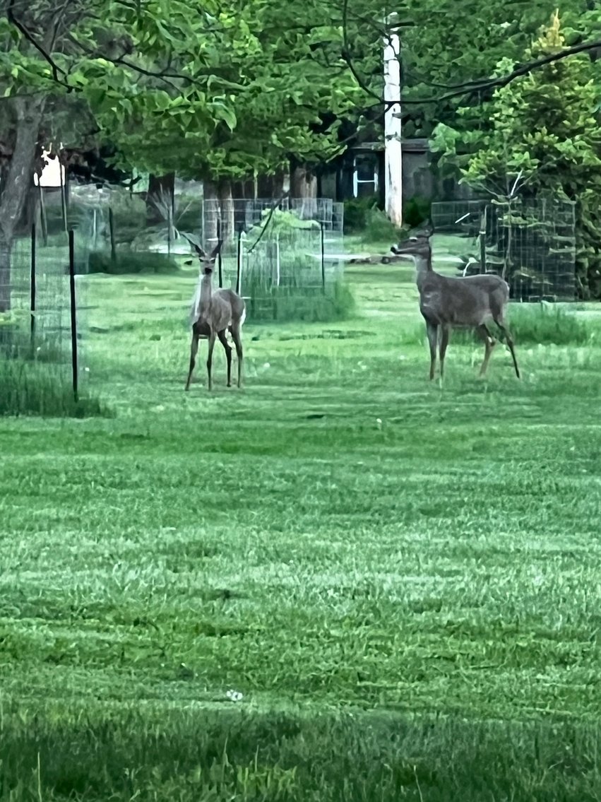 Image for Lakeview 2 Story 5 Bedroom Home Selling at LIVE Auction