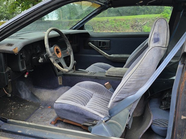 Image for Summer Consignment Auction