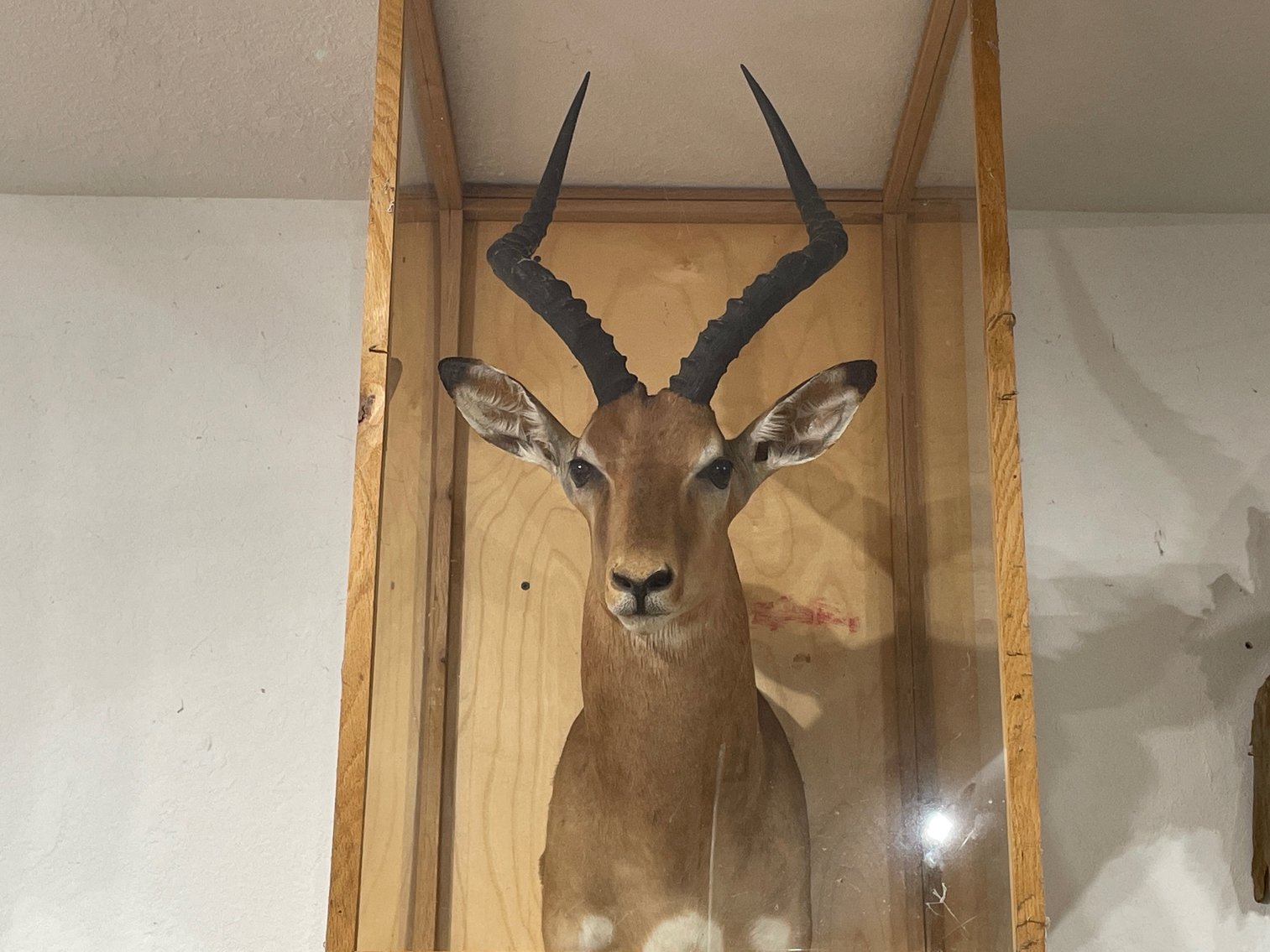 Image for Estate of Donald Zitlow