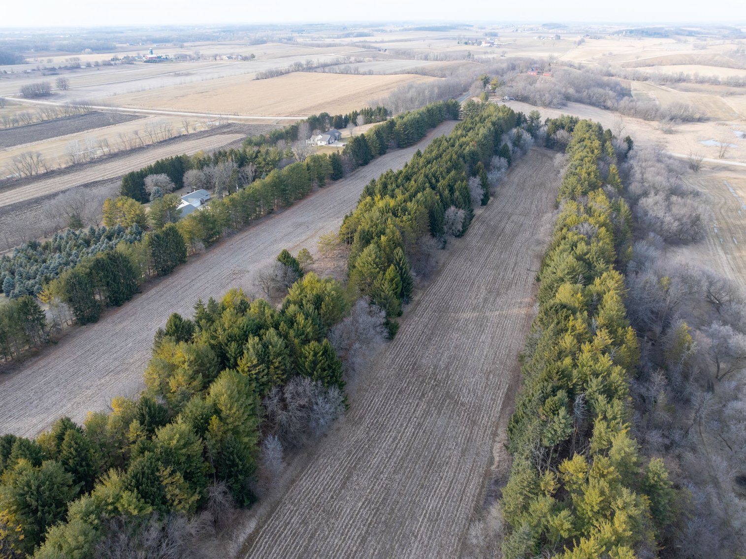 Image for +/- 76 Acres Land and Farmhouse For Sale by Online Bid at N1566 Scofield Rd, Town of Lebanon