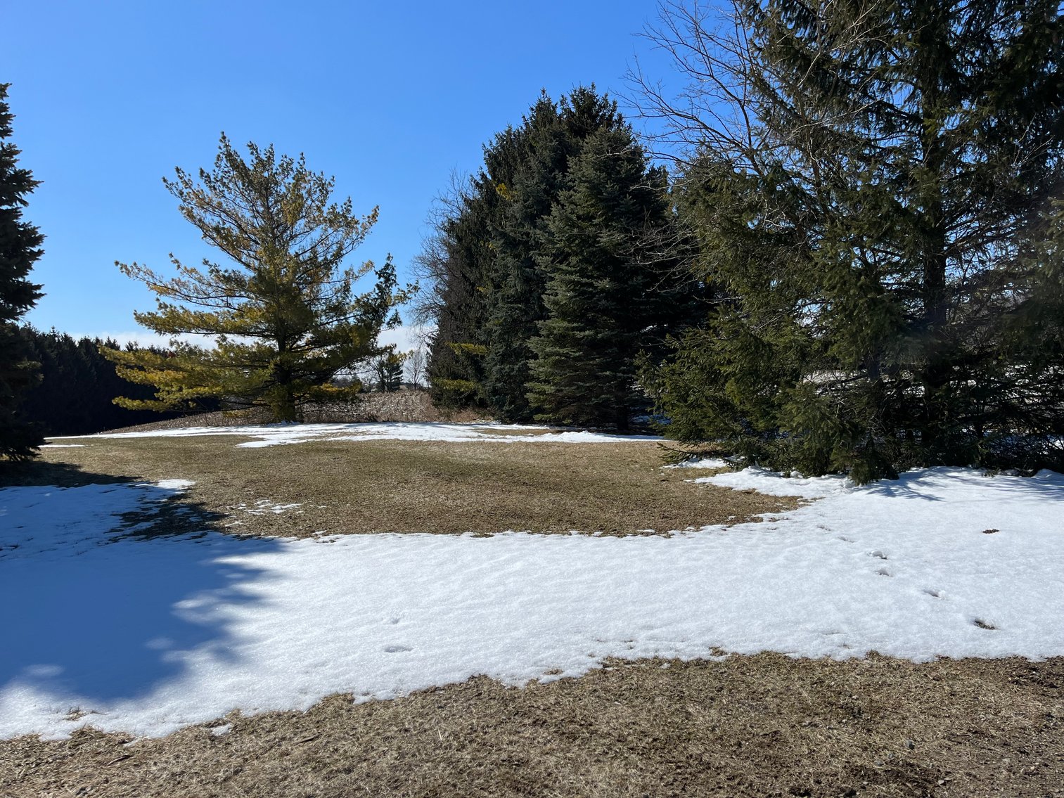 Image for +/- 76 Acres Land and Farmhouse For Sale by Online Bid at N1566 Scofield Rd, Town of Lebanon