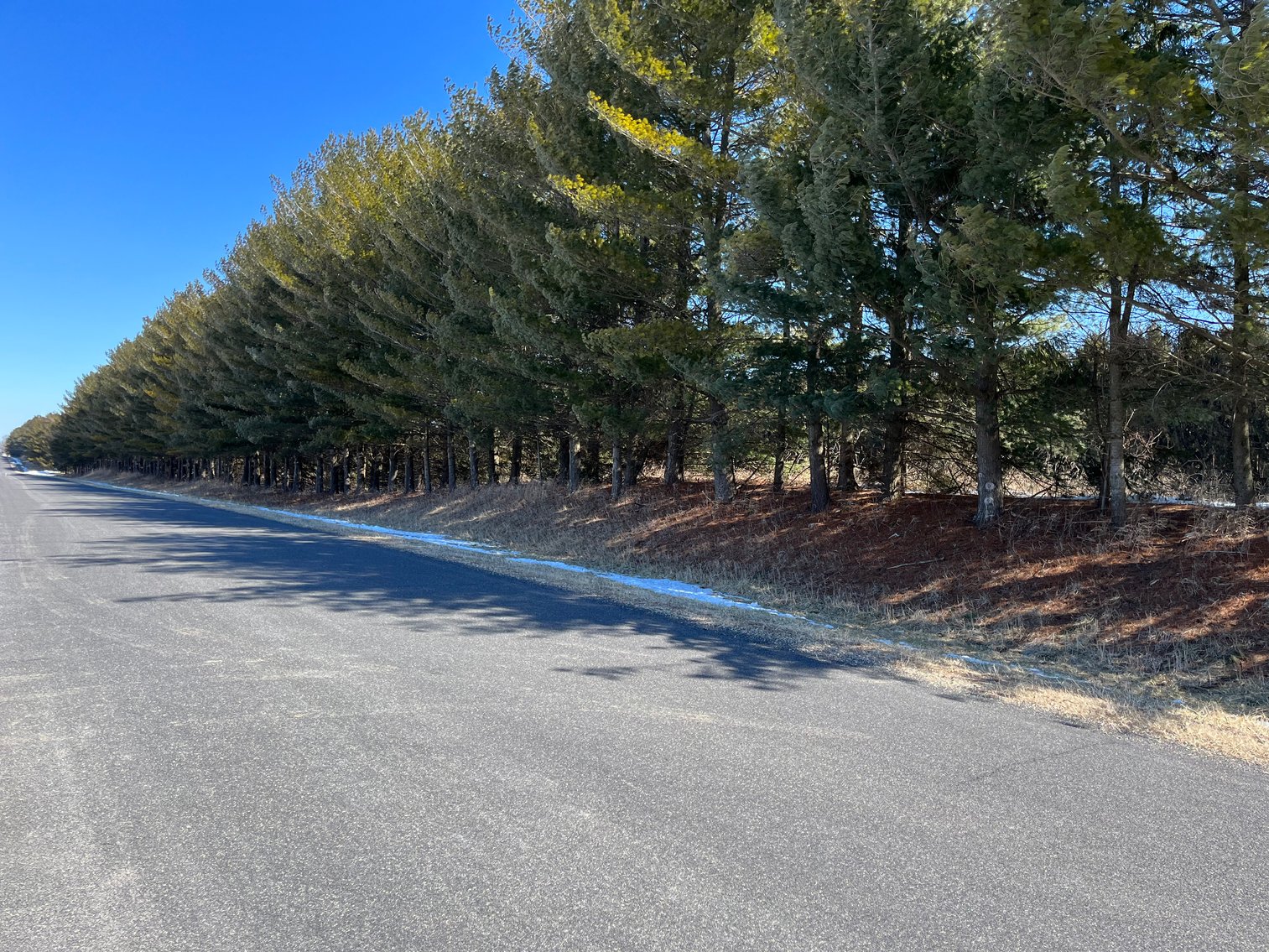 Image for +/- 76 Acres Land and Farmhouse For Sale by Online Bid at N1566 Scofield Rd, Town of Lebanon