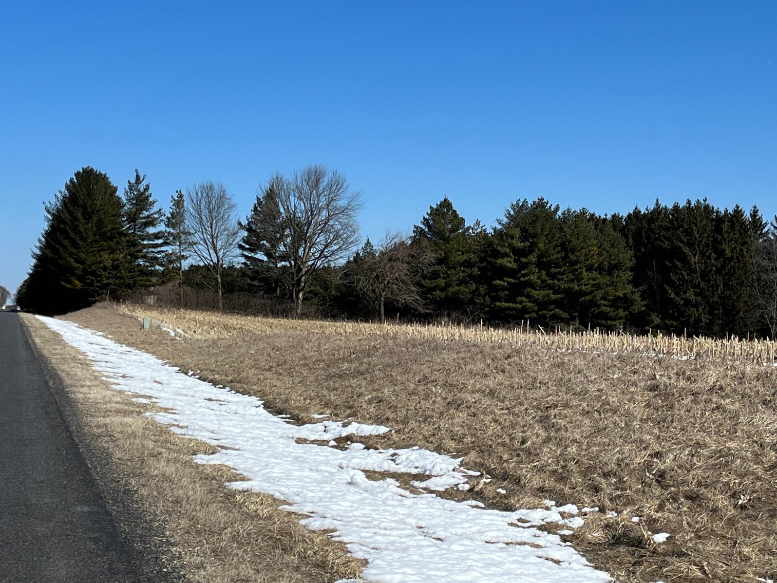 Image for +/- 76 Acres Land and Farmhouse For Sale by Online Bid at N1566 Scofield Rd, Town of Lebanon