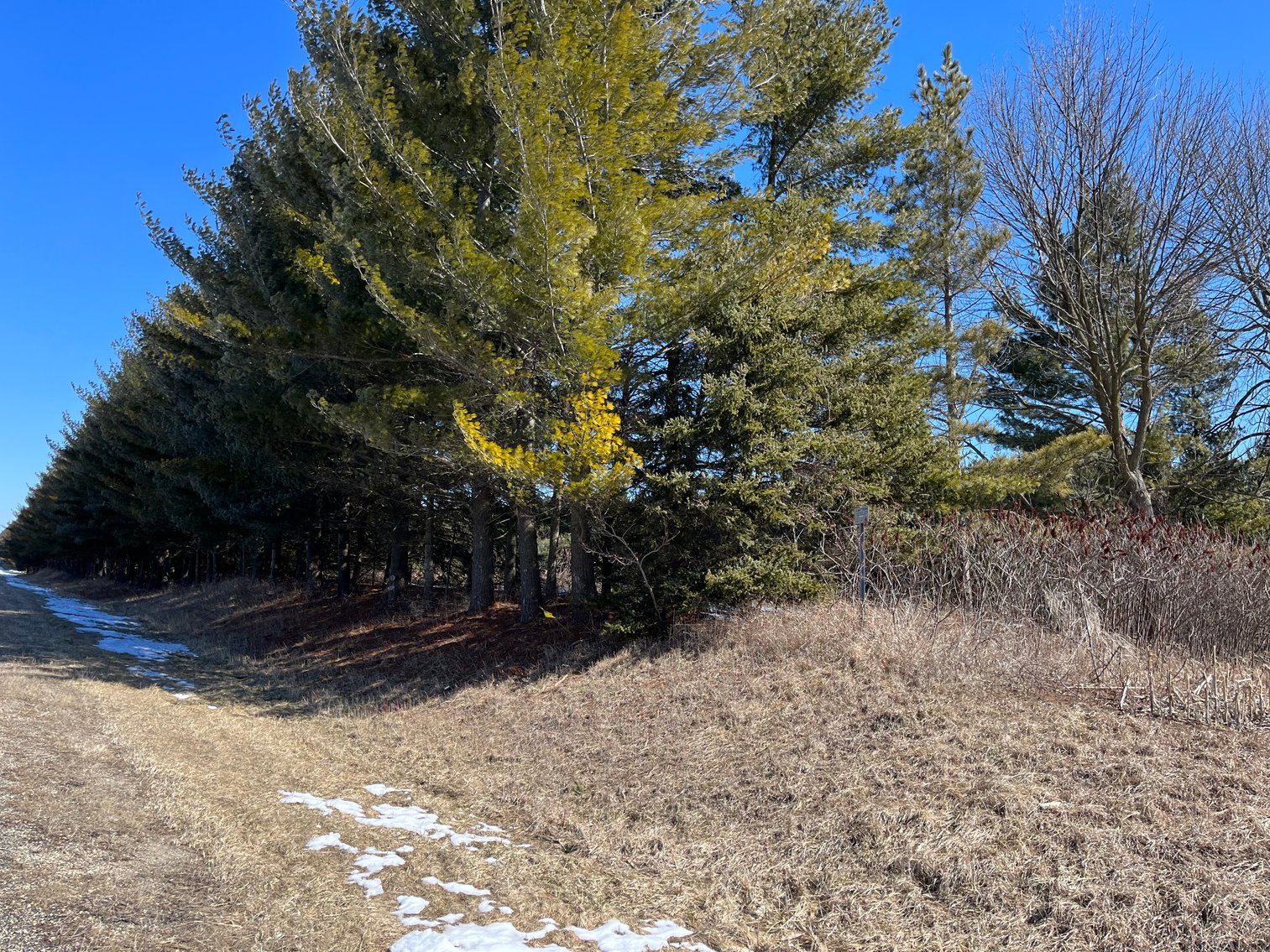 Image for +/- 76 Acres Land and Farmhouse For Sale by Online Bid at N1566 Scofield Rd, Town of Lebanon