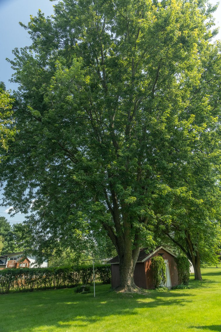 Image for Oconomowoc Ranch Home W395N5892 Laketon Ave For Sale by Online Bidding