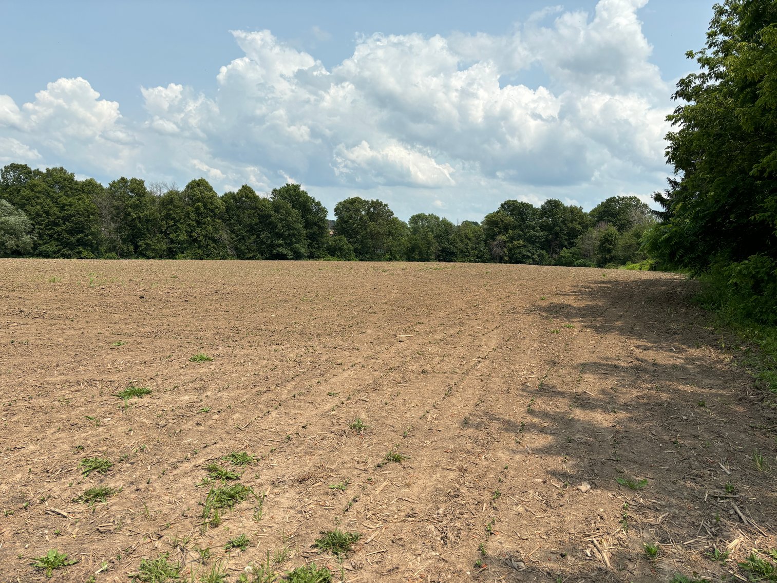 Image for 22 Acres Vacant Land, Kohlhoff Ln, Watertown For Sale by Online Bidding