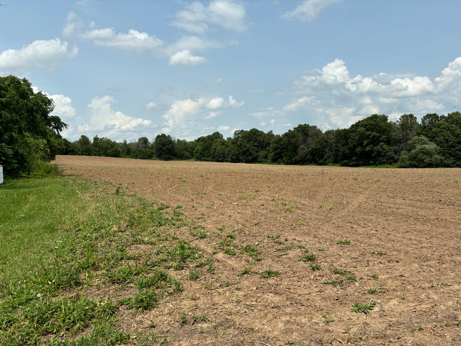 Image for 22 Acres Vacant Land, Kohlhoff Ln, Watertown For Sale by Online Bidding